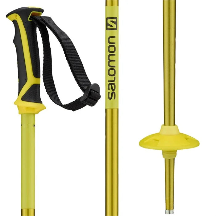 Salomon arctic discount poles